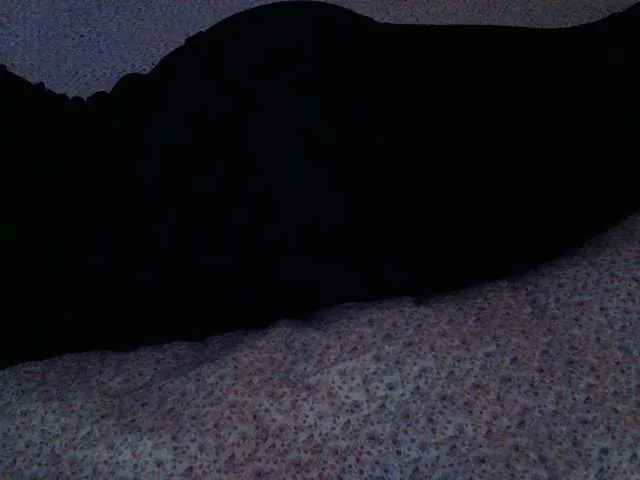 Live sex webcam photo for liZAAAZ #274014722