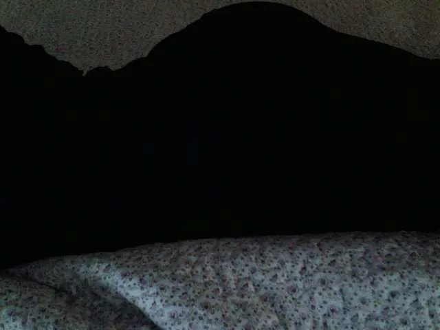 Live sex webcam photo for liZAAAZ #274230378