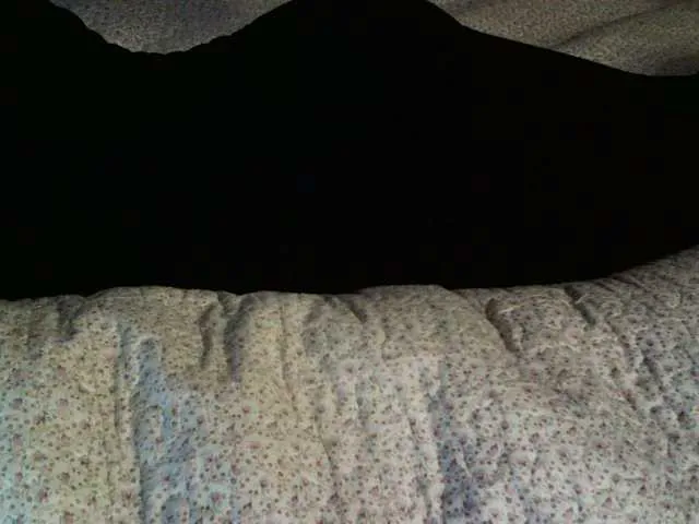 Live sex webcam photo for liZAAAZ #274294439