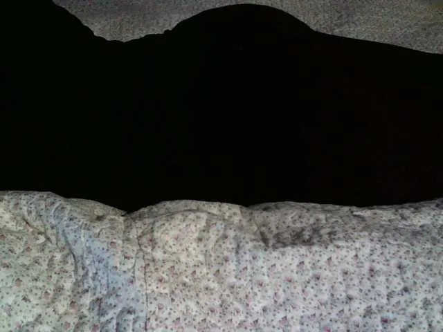 Live sex webcam photo for liZAAAZ #274303343