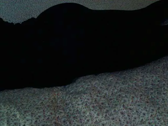 Live sex webcam photo for liZAAAZ #274506843