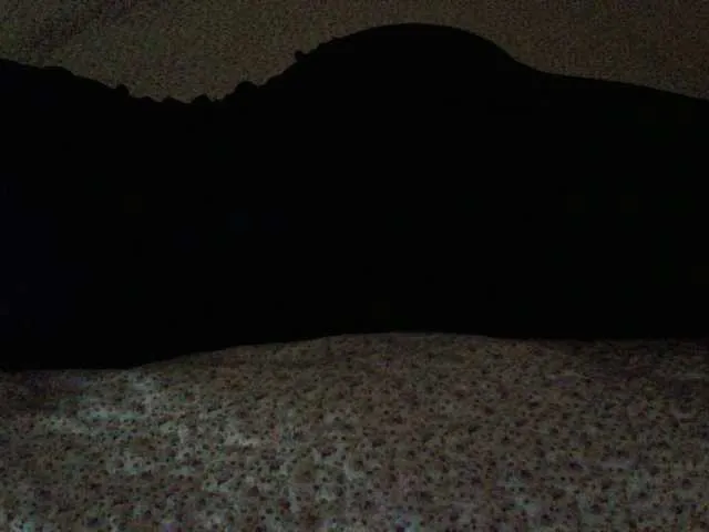 Live sex webcam photo for liZAAAZ #274516047