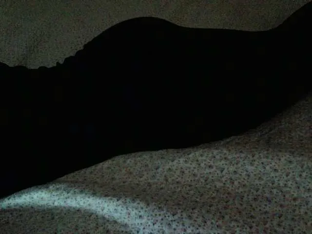 Live sex webcam photo for liZAAAZ #274578550