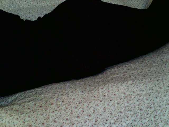 Live sex webcam photo for liZAAAZ #275568950