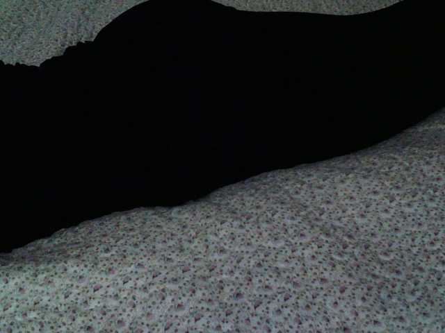 Live sex webcam photo for liZAAAZ #275984589