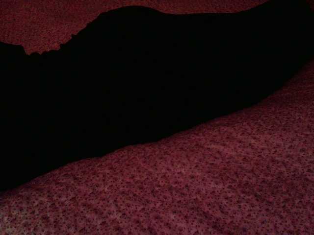 Live sex webcam photo for liZAAAZ #276089125