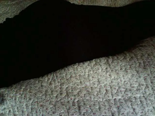 Live sex webcam photo for liZAAAZ #276171172