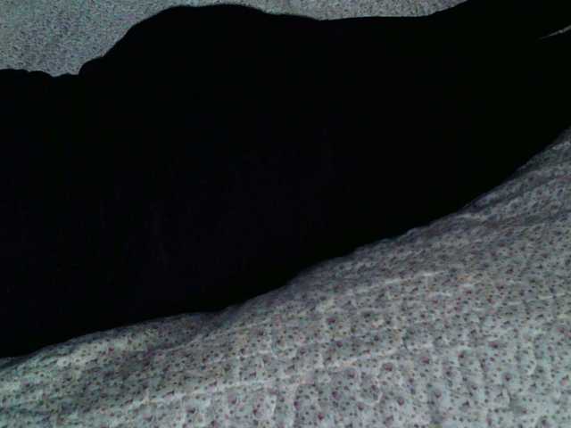 Live sex webcam photo for liZAAAZ #276346756