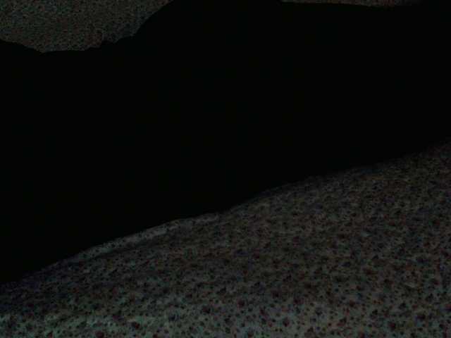 Live sex webcam photo for liZAAAZ #276392853