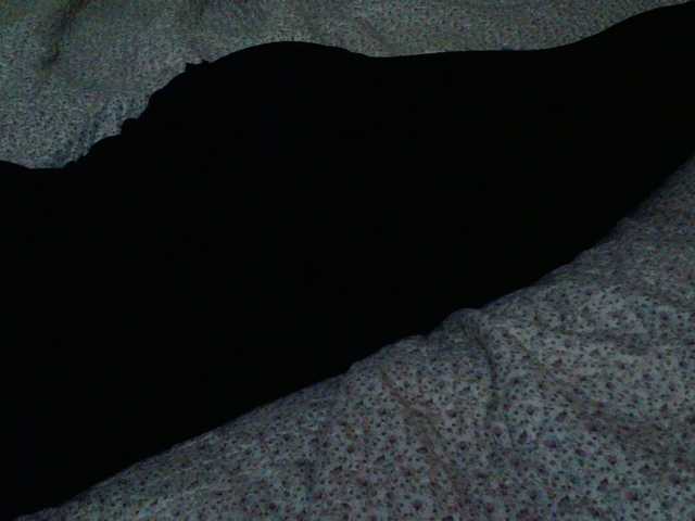 Live sex webcam photo for liZAAAZ #276399283