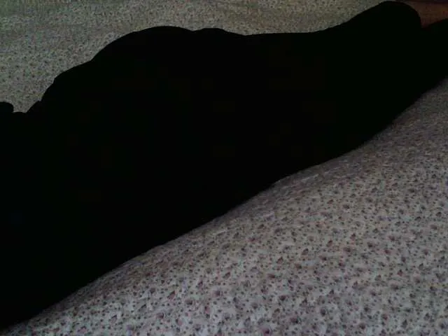 Live sex webcam photo for liZAAAZ #276584754