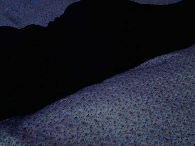 Live sex webcam photo for liZAAAZ #276587522