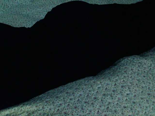 Live sex webcam photo for liZAAAZ #276597312