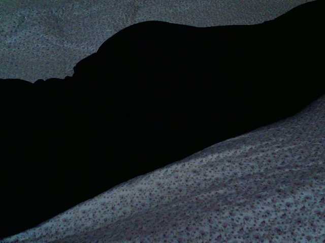 Live sex webcam photo for liZAAAZ #276632920