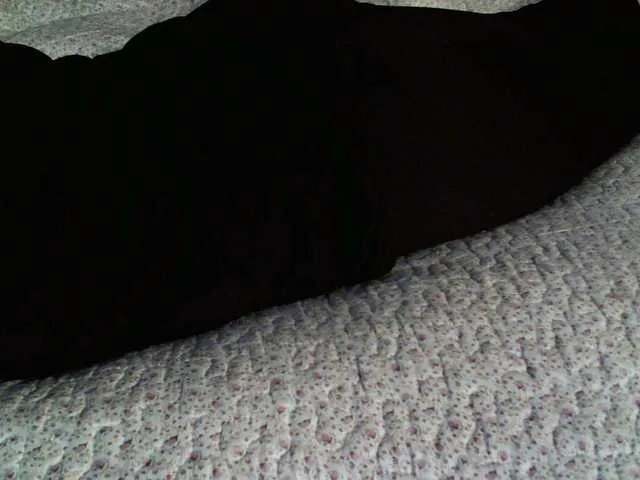 Live sex webcam photo for liZAAAZ #276691336