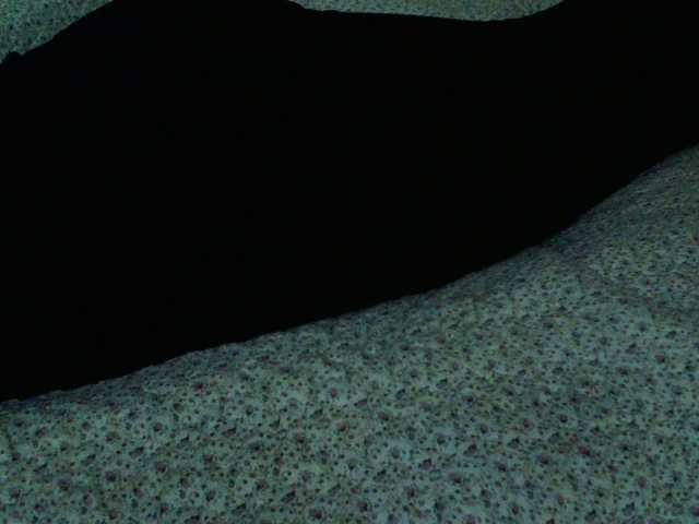 Live sex webcam photo for liZAAAZ #276733682