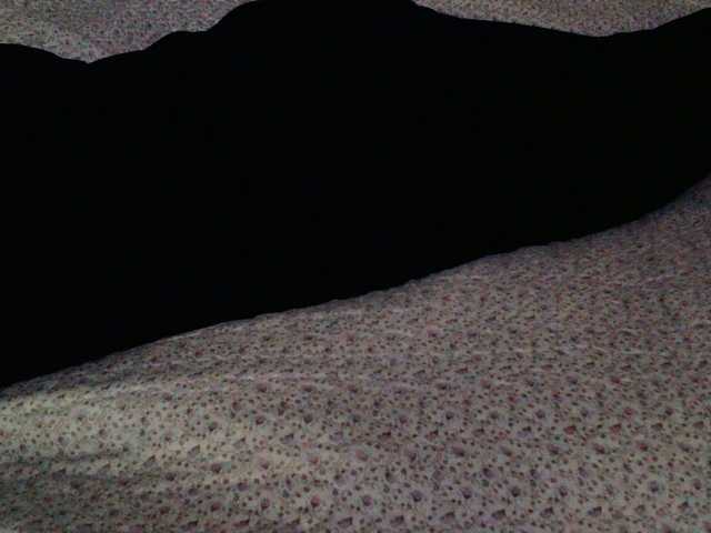 Live sex webcam photo for liZAAAZ #276750356