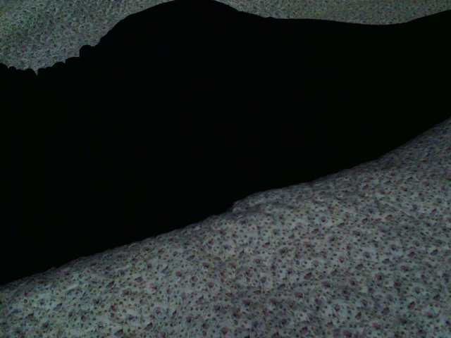 Live sex webcam photo for liZAAAZ #276934703