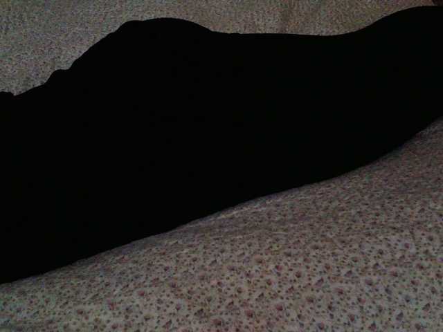 Live sex webcam photo for liZAAAZ #276959882