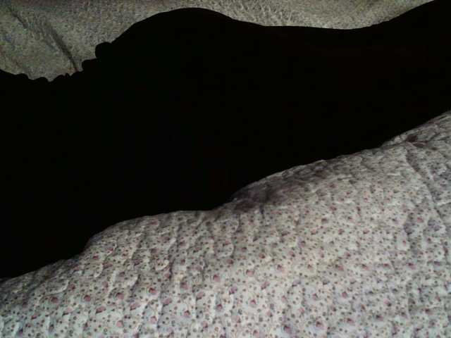 Live sex webcam photo for liZAAAZ #277068713