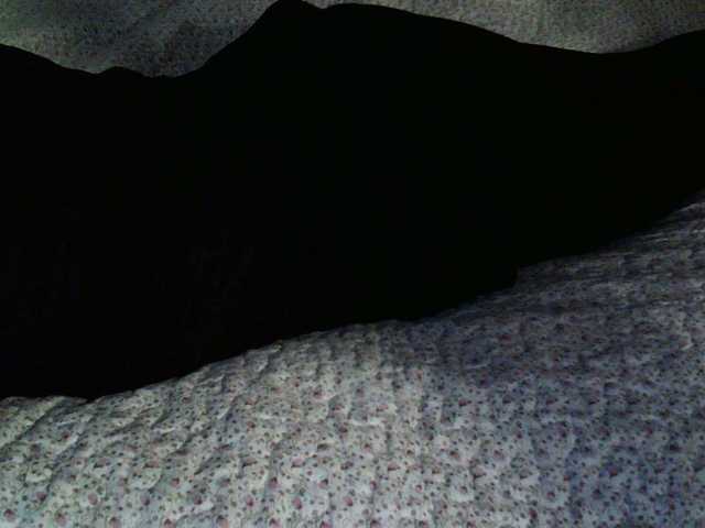 Live sex webcam photo for liZAAAZ #277098104