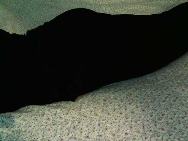 Live sex webcam photo for liZAAAZ #277386004