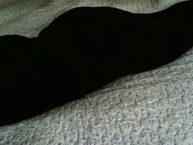 Live sex webcam photo for liZAAAZ #277395773