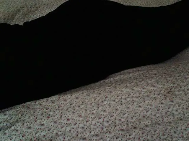 Live sex webcam photo for liZAAAZ #277405544