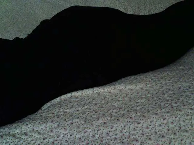 Live sex webcam photo for liZAAAZ #277441250