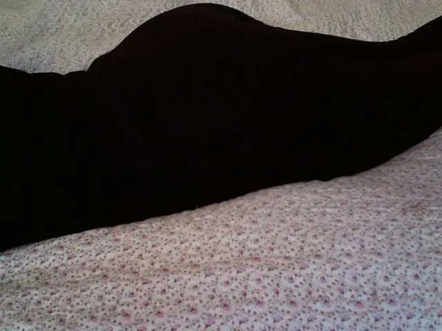 Live sex webcam photo for liZAAAZ #277514041