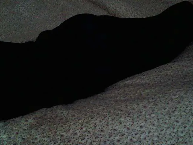 Live sex webcam photo for liZAAAZ #277534506