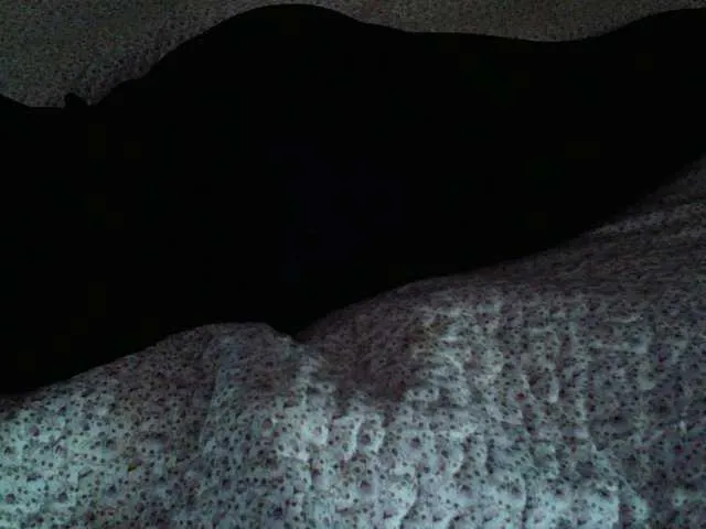 Live sex webcam photo for liZAAAZ #277535774