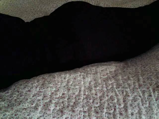 Live sex webcam photo for liZAAAZ #277540389