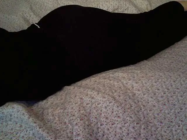 Live sex webcam photo for liZAAAZ #277576980