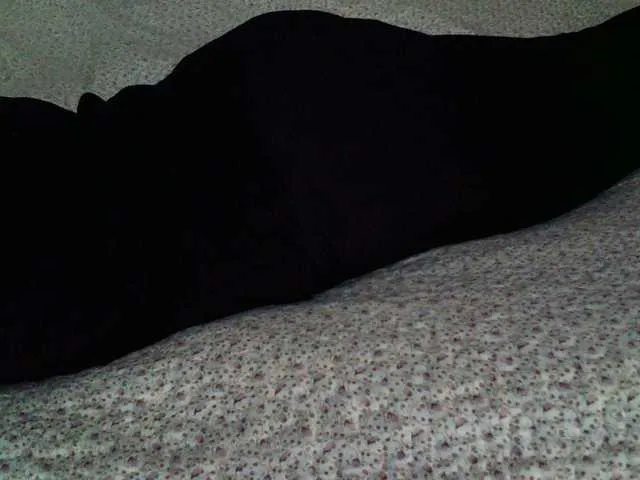 Live sex webcam photo for liZAAAZ #277593277