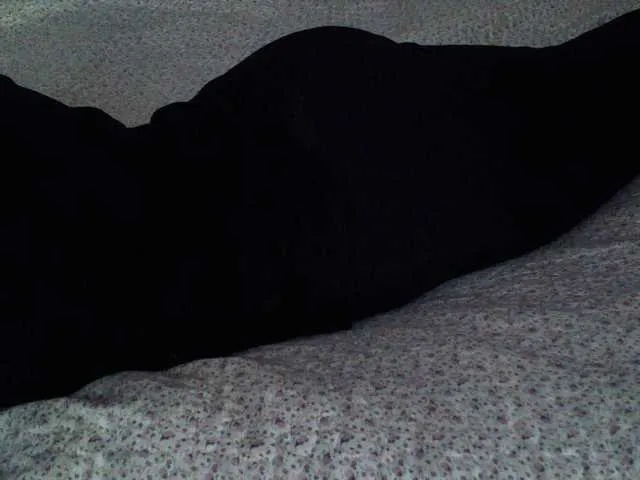 Live sex webcam photo for liZAAAZ #277618716