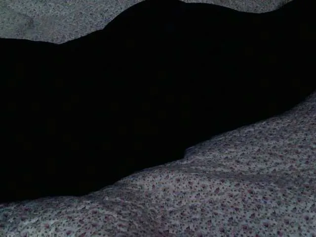 Live sex webcam photo for liZAAAZ #289903495