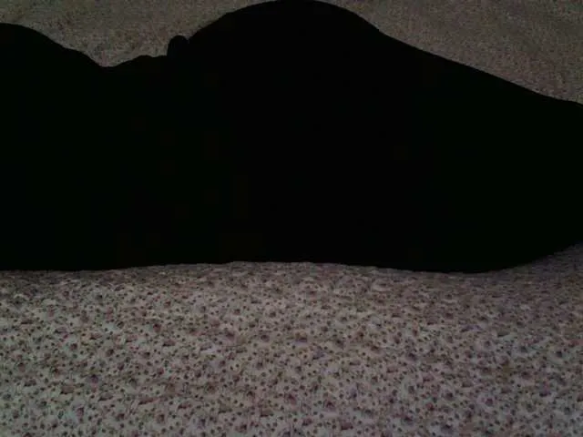 Live sex webcam photo for liZAAAZ #290143399