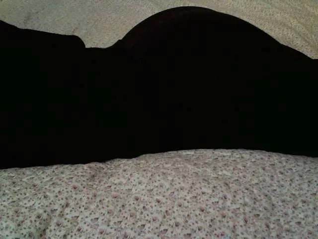 Live sex webcam photo for liZAAAZ #290313823