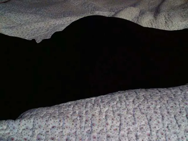 Live sex webcam photo for liZAAAZ #290327228