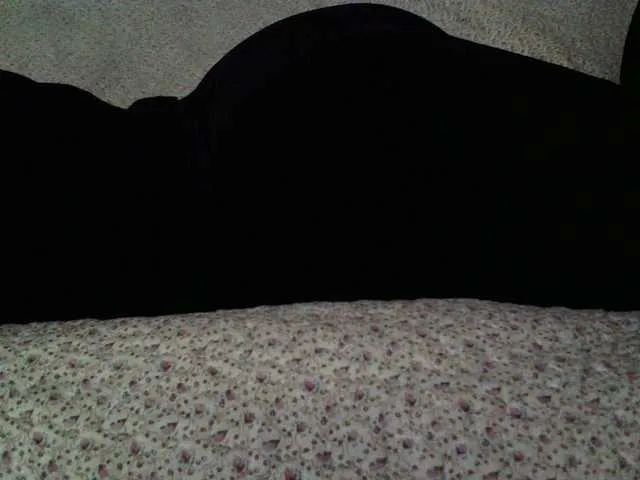 Live sex webcam photo for liZAAAZ #290351896