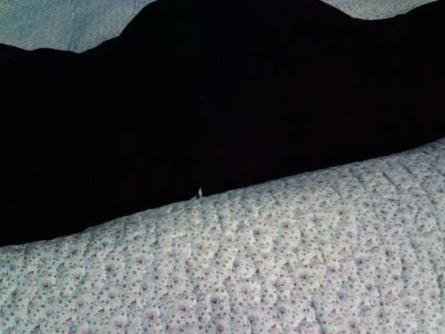 Live sex webcam photo for liZAAAZ #290385267