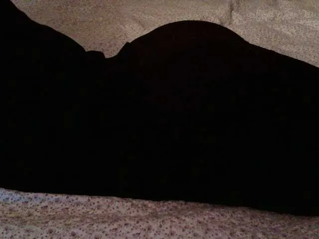 Live sex webcam photo for liZAAAZ #290454539