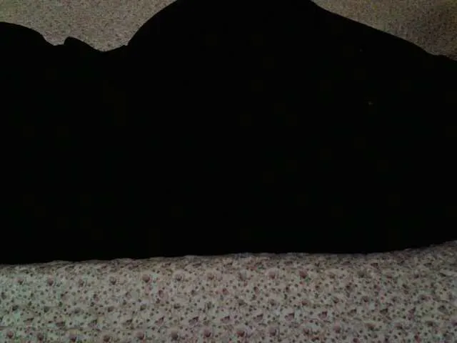 Live sex webcam photo for liZAAAZ #290466998