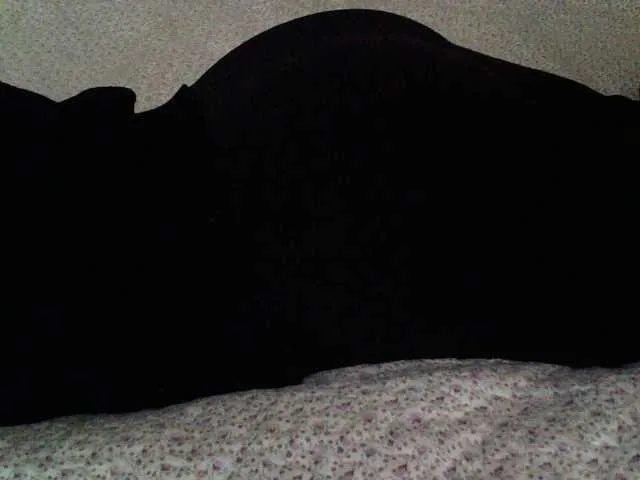 Live sex webcam photo for liZAAAZ #290532863