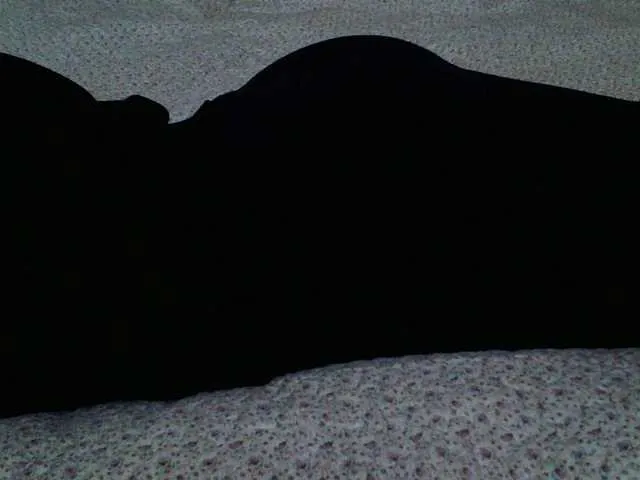 Live sex webcam photo for liZAAAZ #290543409