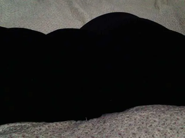 Live sex webcam photo for liZAAAZ #290549297