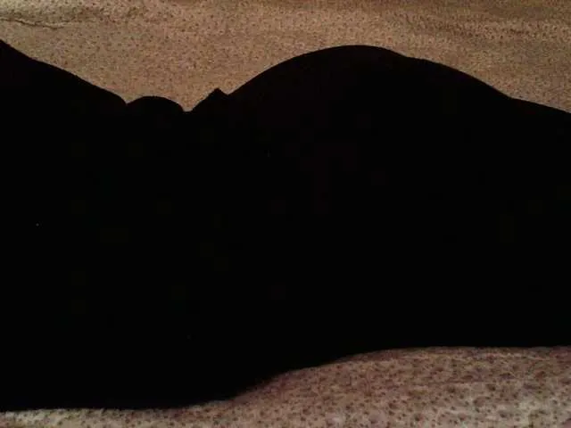 Live sex webcam photo for liZAAAZ #290552277