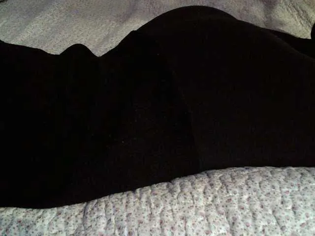 Live sex webcam photo for liZAAAZ #290566044