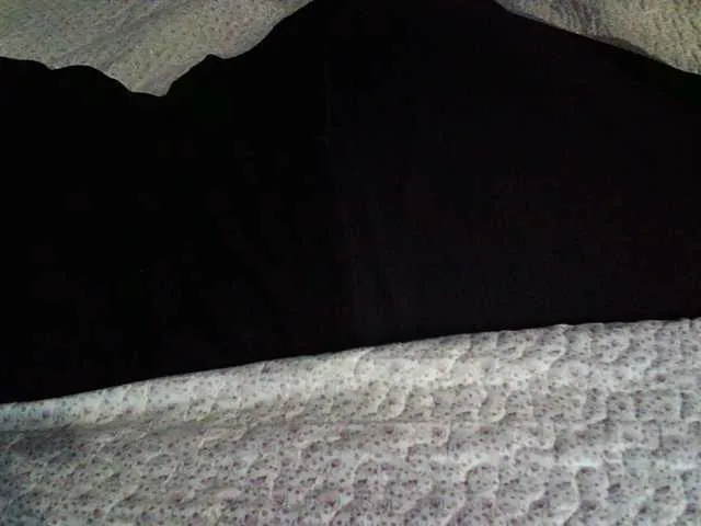 Live sex webcam photo for liZAAAZ #290667138